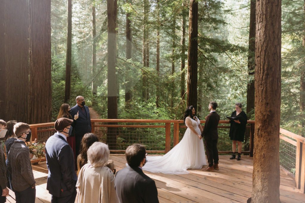 Small Wedding at Redwood Deck Hoyt Arboretum Portland, OR